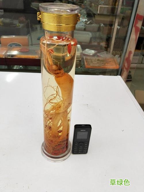 鹿鞭鹿茸人参泡酒配方大全 人参鹿茸泡酒效果咋样