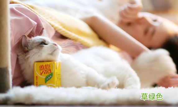松茸菌菇汤多少钱一包