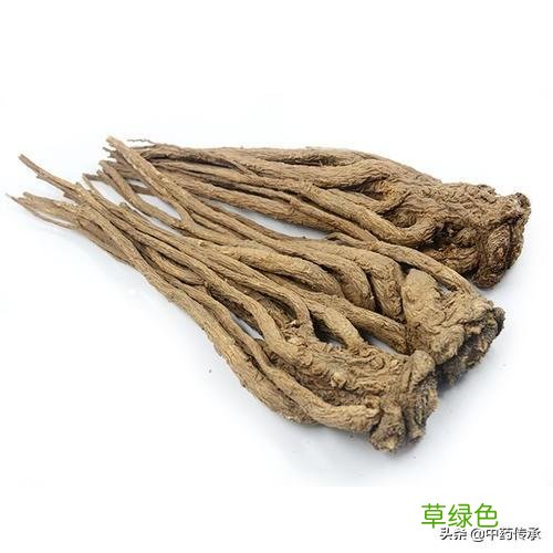 当归尾的作用与功效与禁忌 当归尾的作用与功效