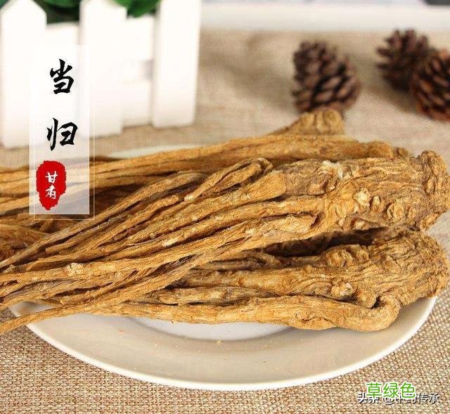 当归尾的作用与功效与禁忌 当归尾的作用与功效