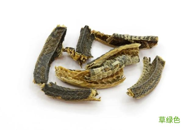 中草药乌梢蛇的功效 中草药乌梢蛇什么功效与作用