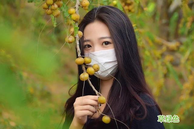 油柑根的功效与作用 油柑根的功效