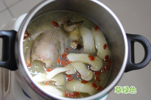 嫩松茸煲汤的做法大全