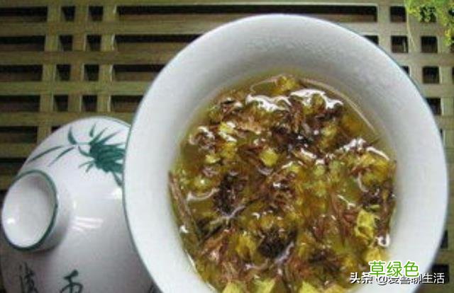 迎春花茶的功效与作用 迎春花茶的功效