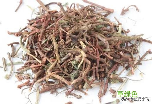 中药茜草的功效与作用点 中药茜草的功效与作用