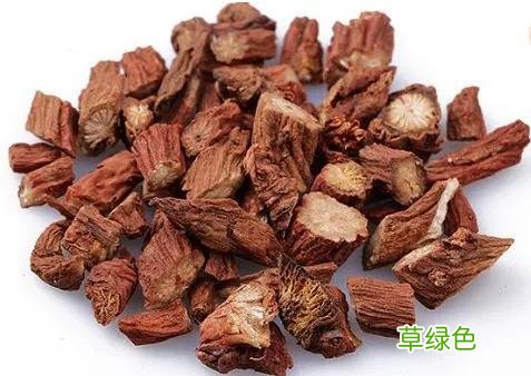 中草药丹参的功效与作用图片 中草药丹参的功效与作用