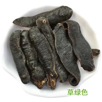 蚂蝗七的功效与作用 蚂蝗七的功效