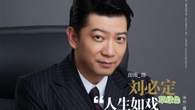 演员谭凯主演的电视剧 谭凯电视剧大博弈