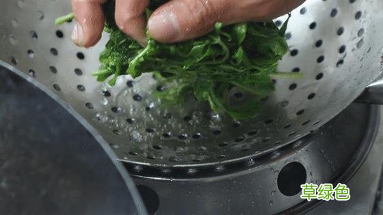 香椿树根有什么作用 香春树根的功效与作用