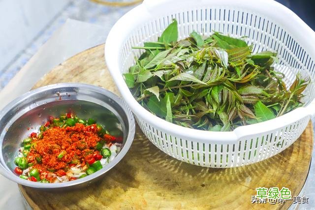 香椿树根有什么作用 香春树根的功效与作用