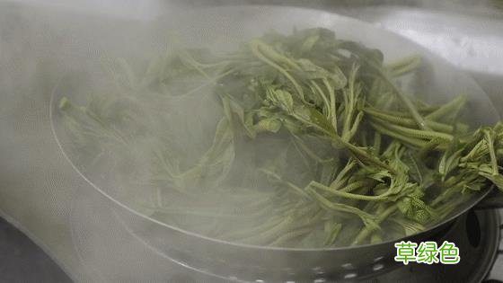 香椿树根有什么作用 香春树根的功效与作用
