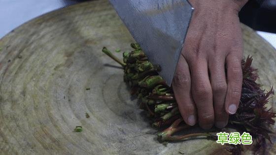 香椿树根有什么作用 香春树根的功效与作用