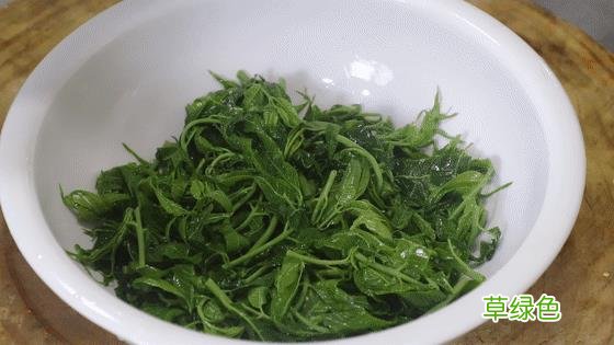 香椿树根有什么作用 香春树根的功效与作用
