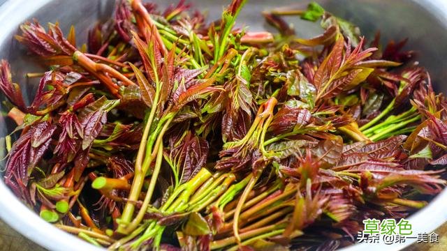 香椿树根有什么作用 香春树根的功效与作用