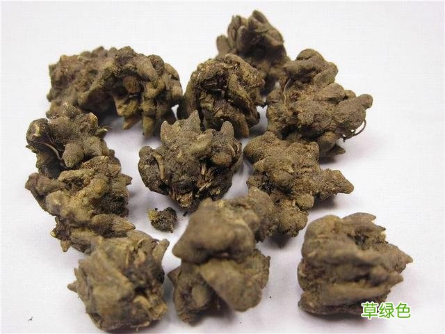 三棱的功效与作用与主治 三梭的功效与作用