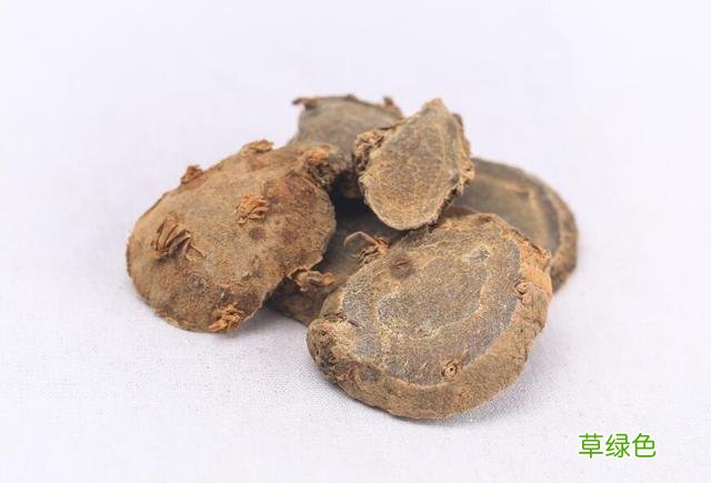 三棱的功效与作用与主治 三梭的功效与作用