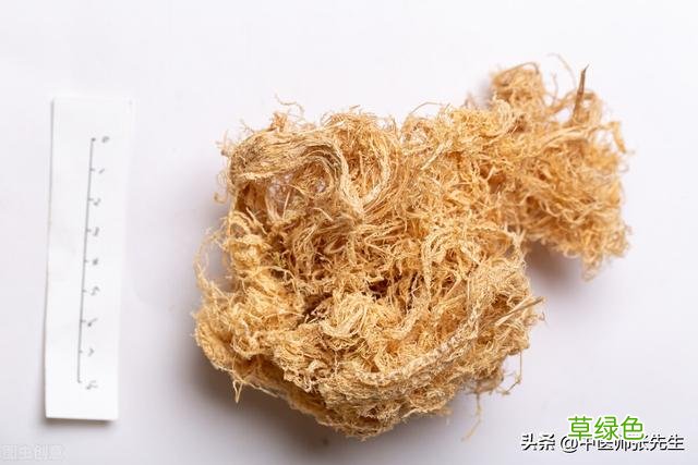 中药竹茹功效与作用的功效与作用 中药竹茹功效与作用