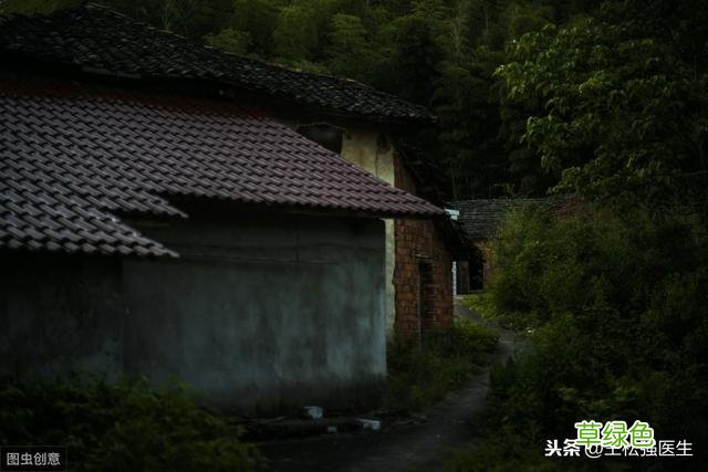 六六通中药功效与作用 中药六六通功效