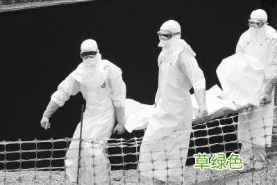 埃博拉前线演员表 埃博拉前线图片