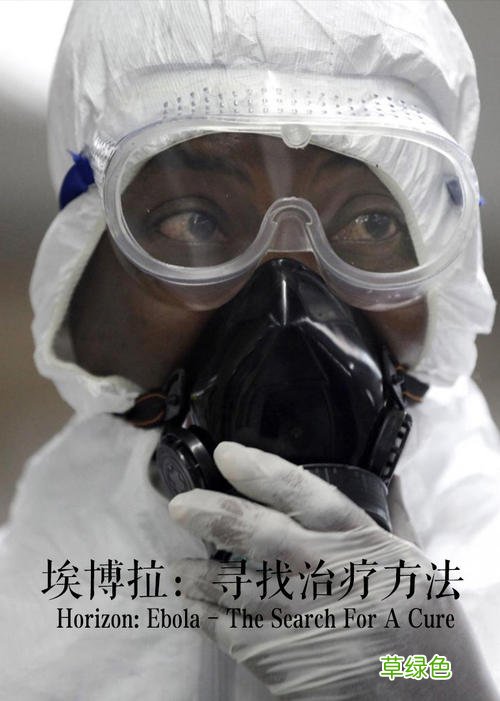 毒舌电影解说埃博拉前线