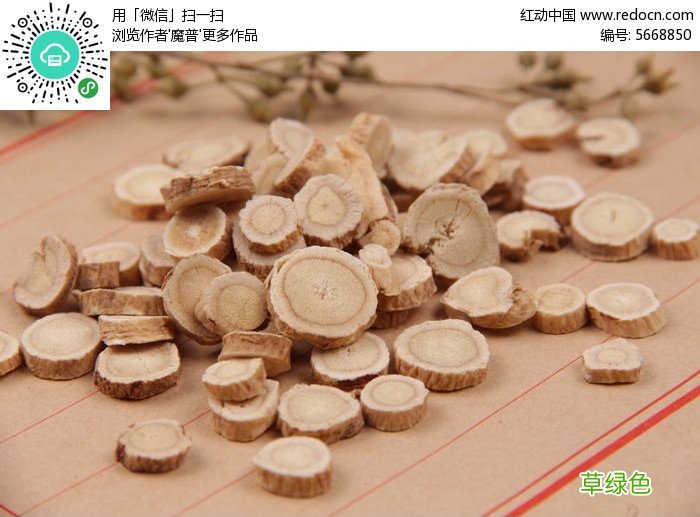 东莞便宜的黄芪鉴别