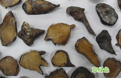 附子牛肉汤