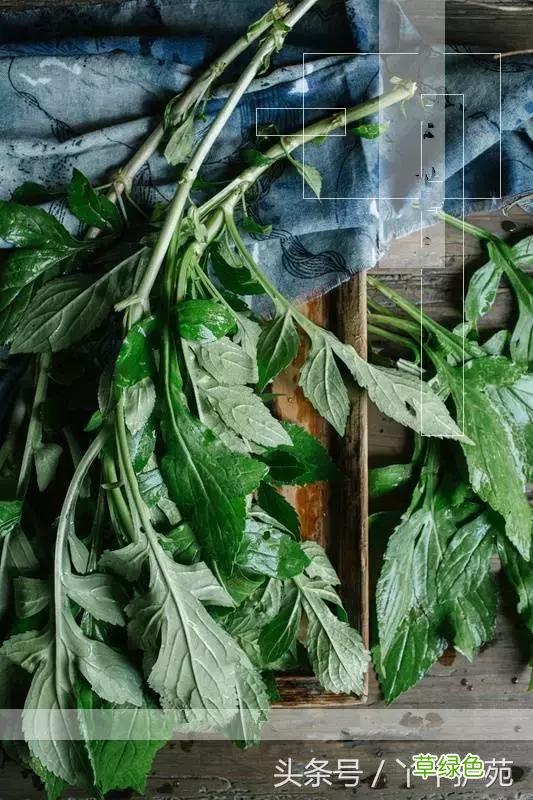 120种上品中药各自功效 药食可用上品中药的功效一览表