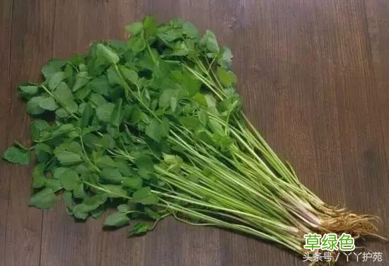 120种上品中药各自功效 药食可用上品中药的功效一览表