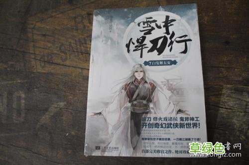 雪中悍刀行上线时间