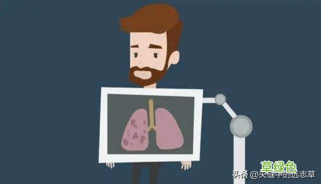中药贝母的功效与作用及食用方法 中药贝母的功效与作用