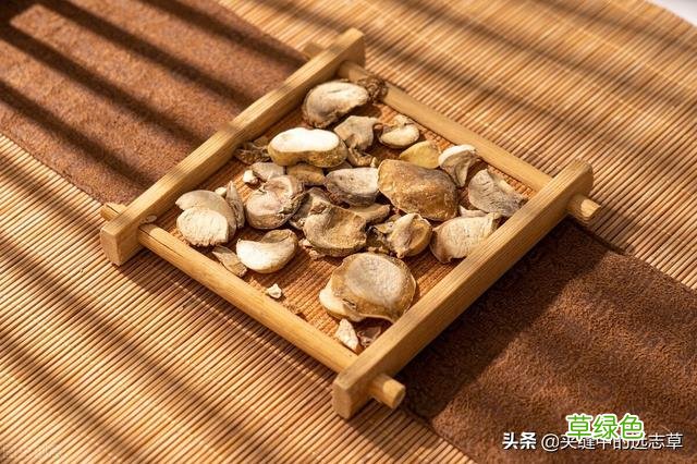 中药贝母的功效与作用及食用方法 中药贝母的功效与作用