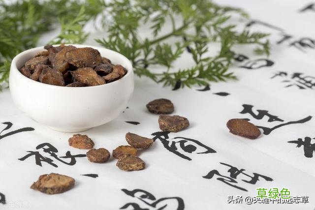 中药贝母的功效与作用及食用方法 中药贝母的功效与作用