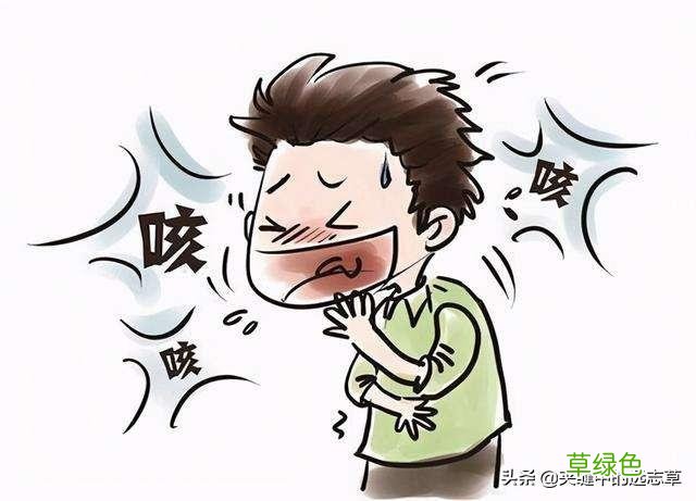 中药贝母的功效与作用及食用方法 中药贝母的功效与作用