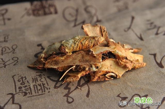 中药贝母的功效与作用及食用方法 中药贝母的功效与作用