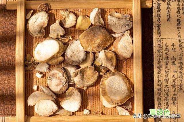 中药贝母的功效与作用及食用方法 中药贝母的功效与作用