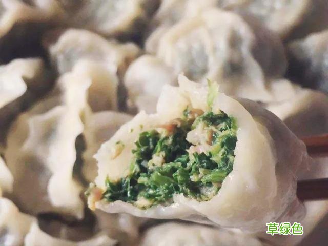 紫蒲公英的功效与作用 紫花蒲公英有什么功效与作用