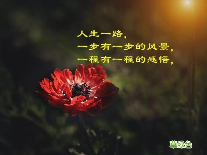 交友经典语录 人生交友感悟的句子