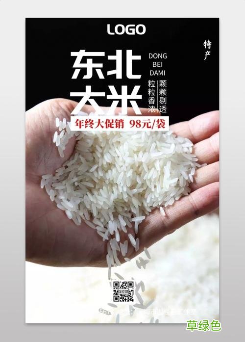 汉堡王营销案例分析 大米营销策划