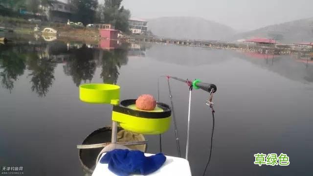 蛤蚧的功效和作用 蚧蛤的功效与作用