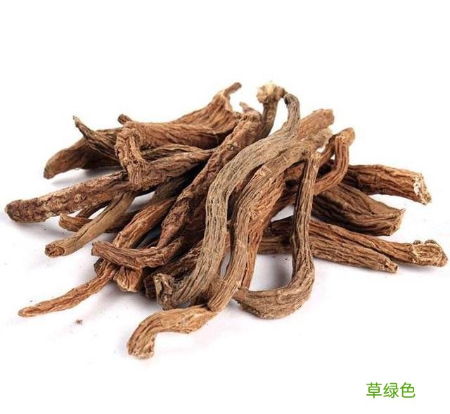 续断的功效与作用叫续断吗 续断有什么功效与作用