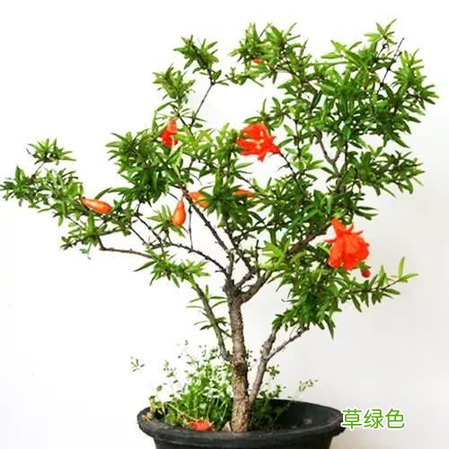 最佳的营销理念 营销名人