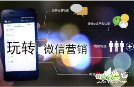 微商团队联系方式 微营销团队