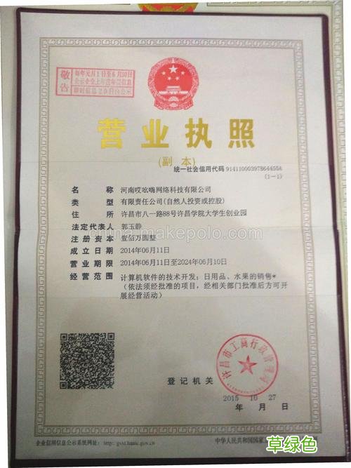 营销方案范文100例 石家庄营销策划