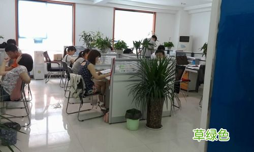 成美营销顾问有限公司 成美营销