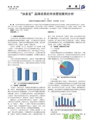 万代市场营销分析报告ppt 市场营销分析报告