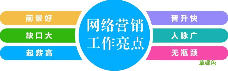 网络营销的特点有哪些 德州网络营销