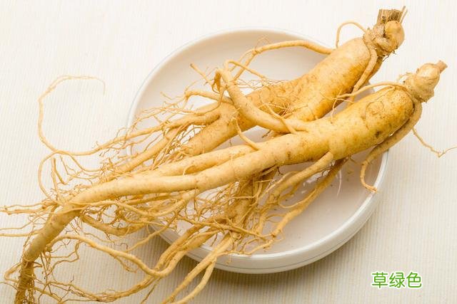 生黄芪和黄芪的功效一样吗 生黄芪和黄芪的功效