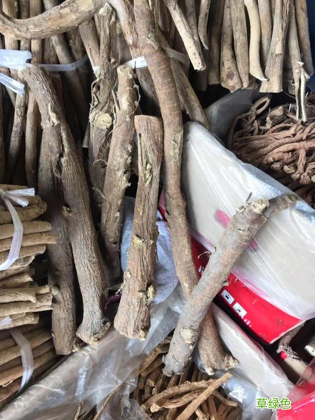 甜酸草的功效与作用 甜草的功效和作用