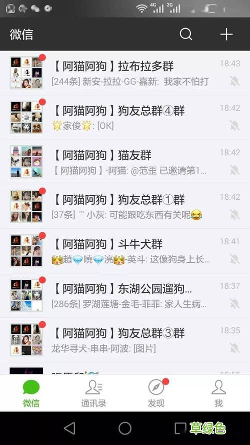 大学生交流群 微信学生交友群