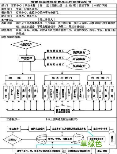 销售总监岗位分析说明书 营销总监岗位说明书